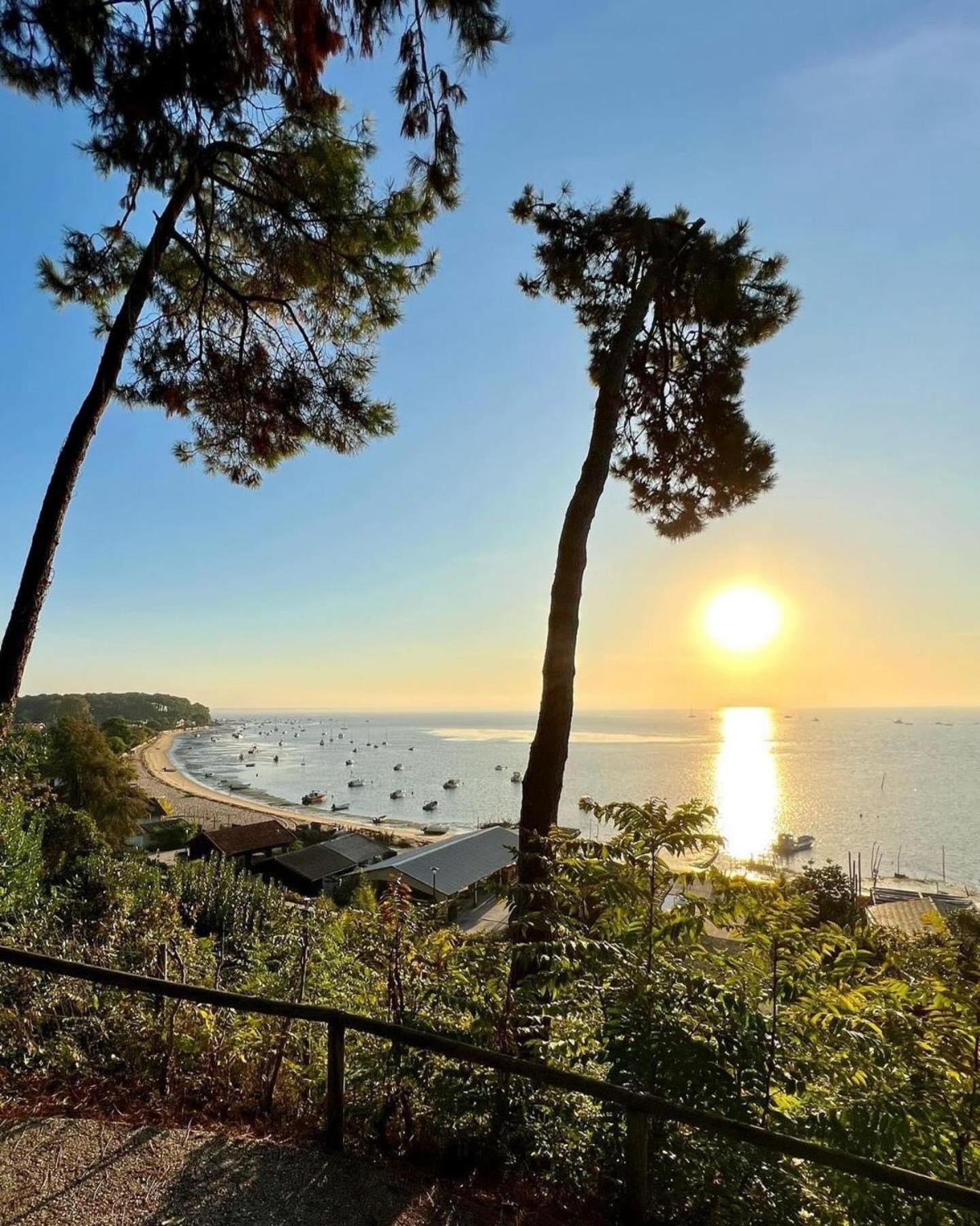 Cocon Entre Presqu'Ile Du Cap Ferret Et Plages Oceanes - Terrasse - 1 Velo Gratuit Ares Eksteriør bilde