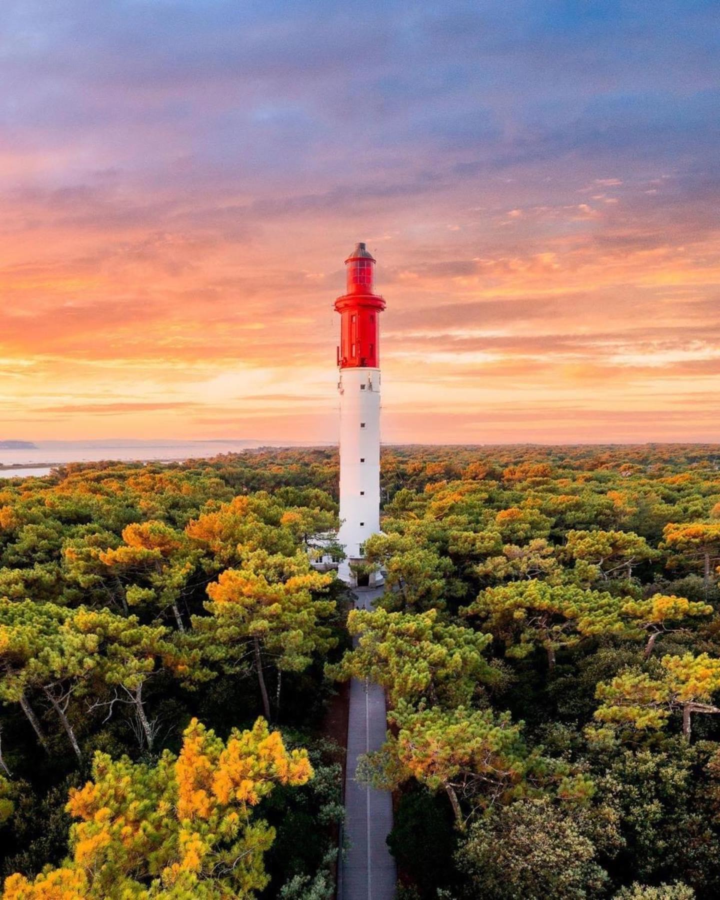 Cocon Entre Presqu'Ile Du Cap Ferret Et Plages Oceanes - Terrasse - 1 Velo Gratuit Ares Eksteriør bilde