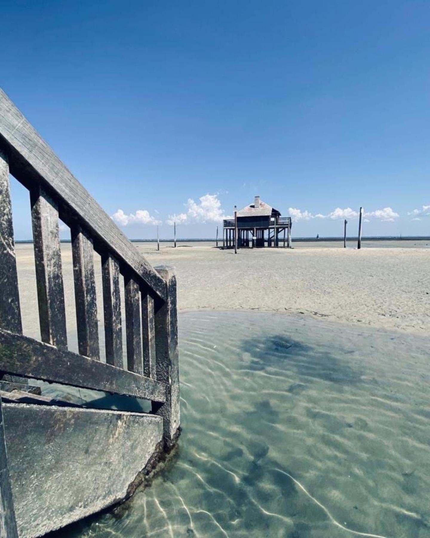 Cocon Entre Presqu'Ile Du Cap Ferret Et Plages Oceanes - Terrasse - 1 Velo Gratuit Ares Eksteriør bilde