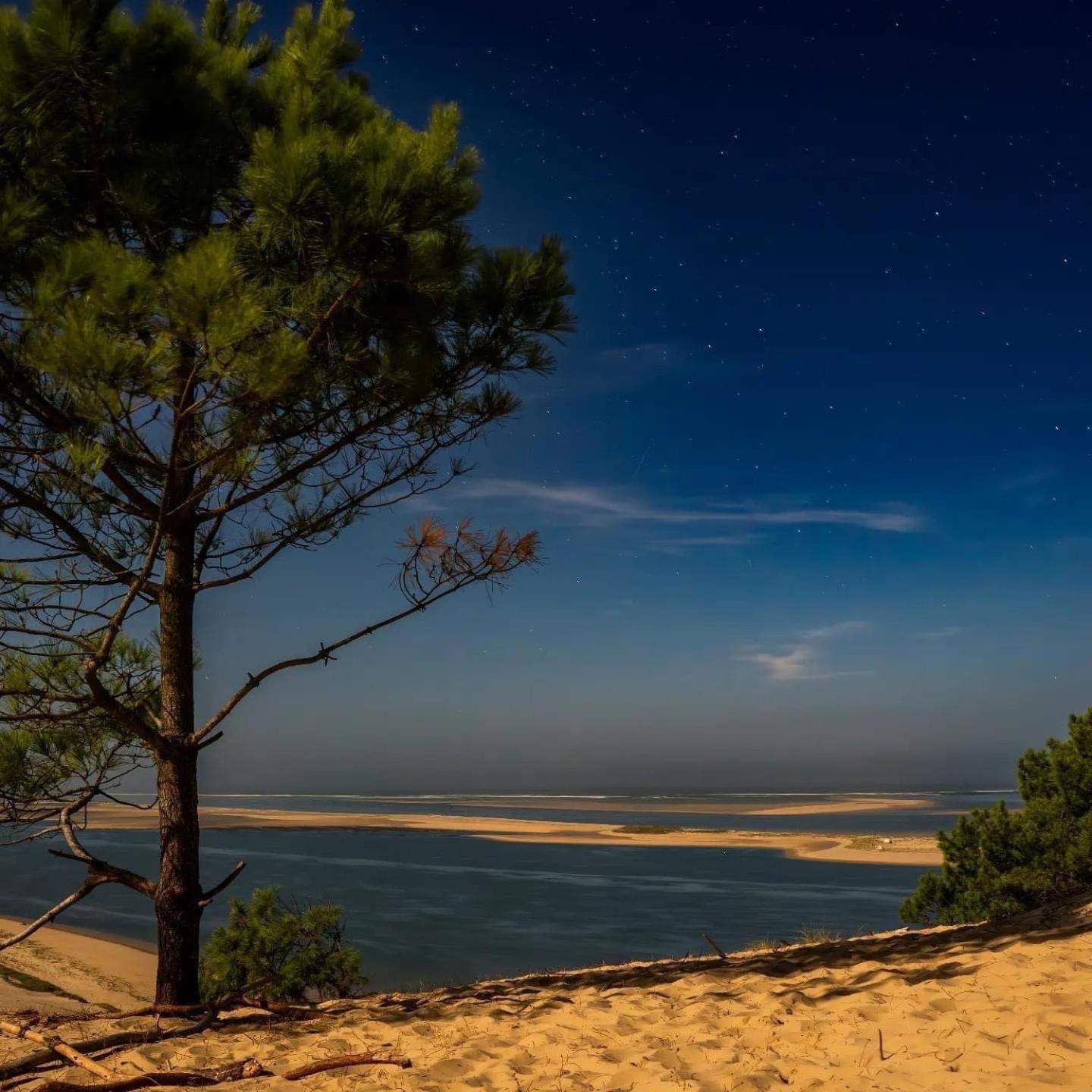 Cocon Entre Presqu'Ile Du Cap Ferret Et Plages Oceanes - Terrasse - 1 Velo Gratuit Ares Eksteriør bilde