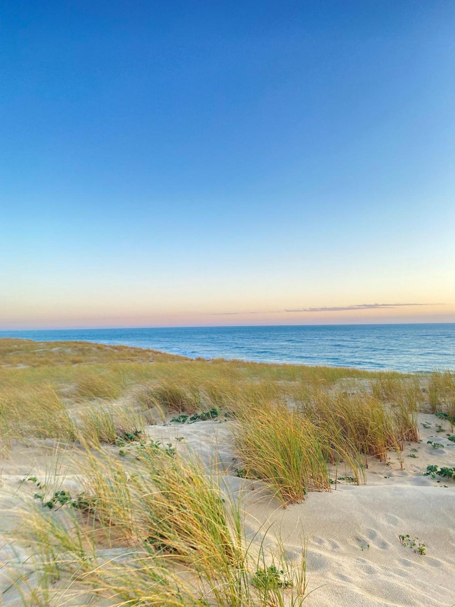 Cocon Entre Presqu'Ile Du Cap Ferret Et Plages Oceanes - Terrasse - 1 Velo Gratuit Ares Eksteriør bilde